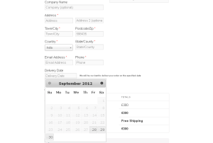 Woocommerce email validation