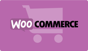 WooCommerce Customizer for WooThemes Canvas [Sneak preview video]