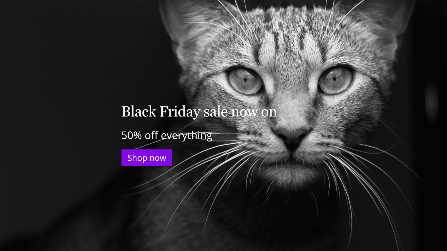 How to create a Black Friday Splash page in just 1 minute using Pootle Pagebuilder Pro