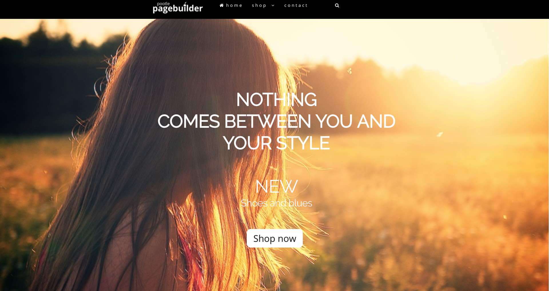 Our ambition to make Pootle Pagebuilder Pro the best WooCommerce Pagebuilder