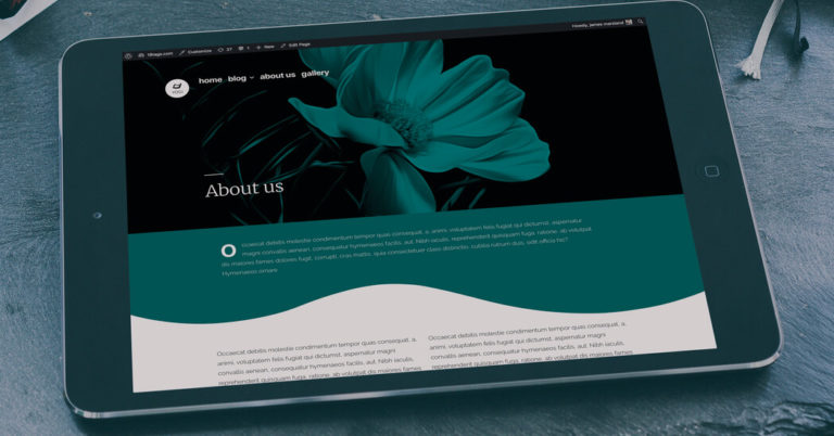 customize 2019 theme